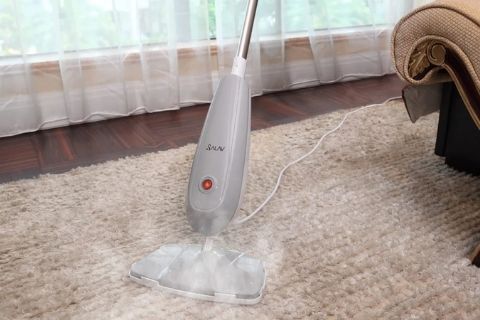 Steam cleaning can remove stubborn stains and germs on the rugs