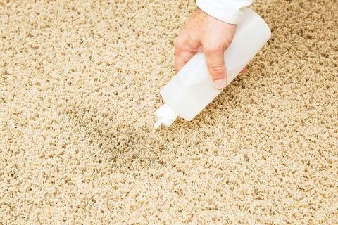 clean-dried-the-vomit-stains-from-the-carpets