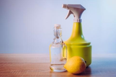 Clean the electric stovetop with a natural cleaning solution