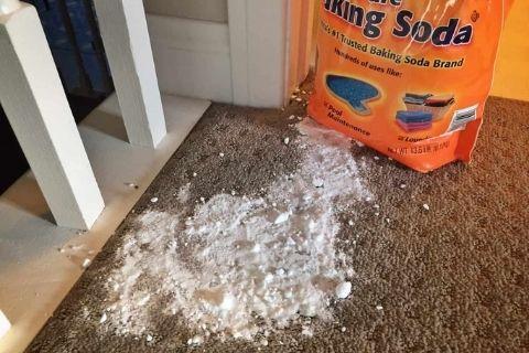 put-the-baking-soda-on-the-stain-to-clean-the-vomit-from-the-carpets