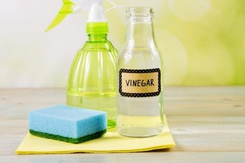 Clean a pull down kitchen faucet spray head with white vinegar