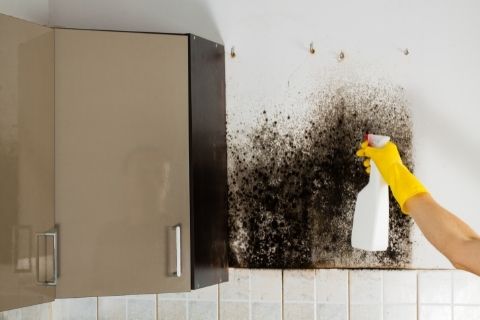 Removing grease from kitchen cabinets