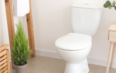 How to Clean the Toilet Tank Properly