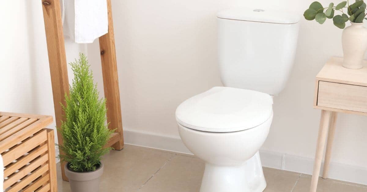 How to clean the toilet tank