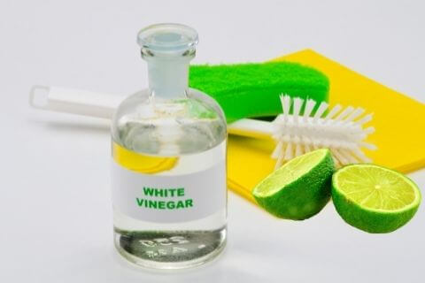 How to clean the electric kettle with vinegar