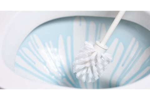 Toilet brush