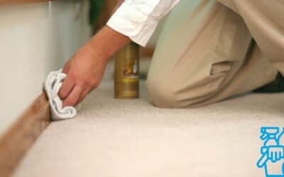 2 useful tools to clean the baseboards at home