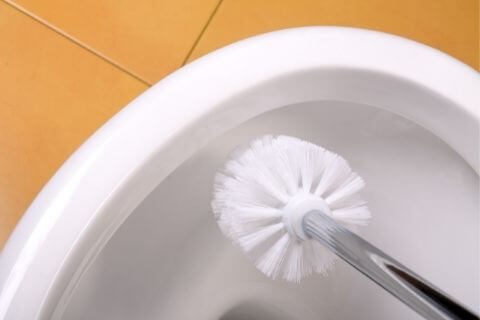 Clean-a-Toilet-with-a-Toilet-Brush