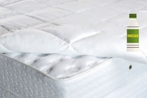 Clean-a-mattress-with-vinegar