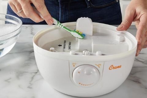 Rinse the water storage compartment