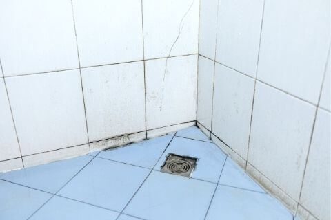Clean the toilet floor after a toilet overflows