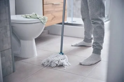 Clean toilet floor and grout