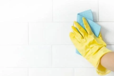 Cleaner for tile and grout