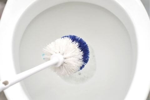 how-to-clean-the-toilet-brush-after-use