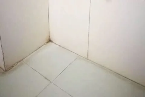 Remove yellow stains on the toilet floor