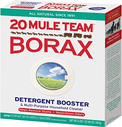 clean-bathtub-with-borax