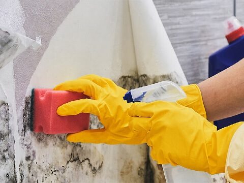 clean-black-mold-on-bathtub