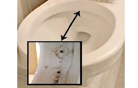 clean-toilet-rim-jets-to-get-rid-of-bacteria-and-mineral-deposit