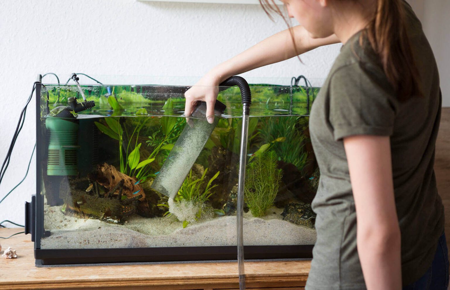 Everything you need to know about how to clean fish tank Sparkling