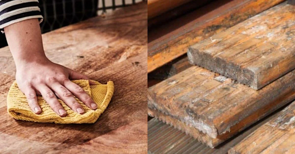 How To Clean Mold On Wood Sparkling and Beyond