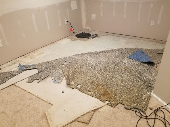 Water-Damaged-Carpet