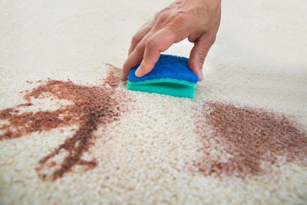 Clean the carpet with carpet Cleaning Wipes