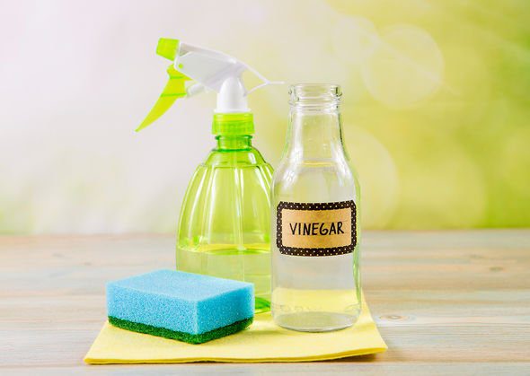 Clean the carpet with Vinegar