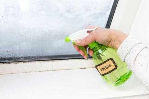 cleaning-mold-on-wood-with-vinegar