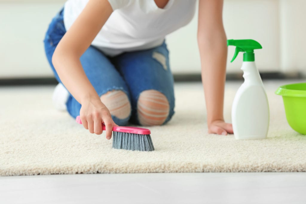 what is the best homemade carpet cleaning solution