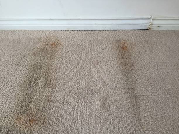 worn-carpet