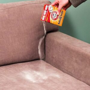 Clean fabric couch with baking soda 