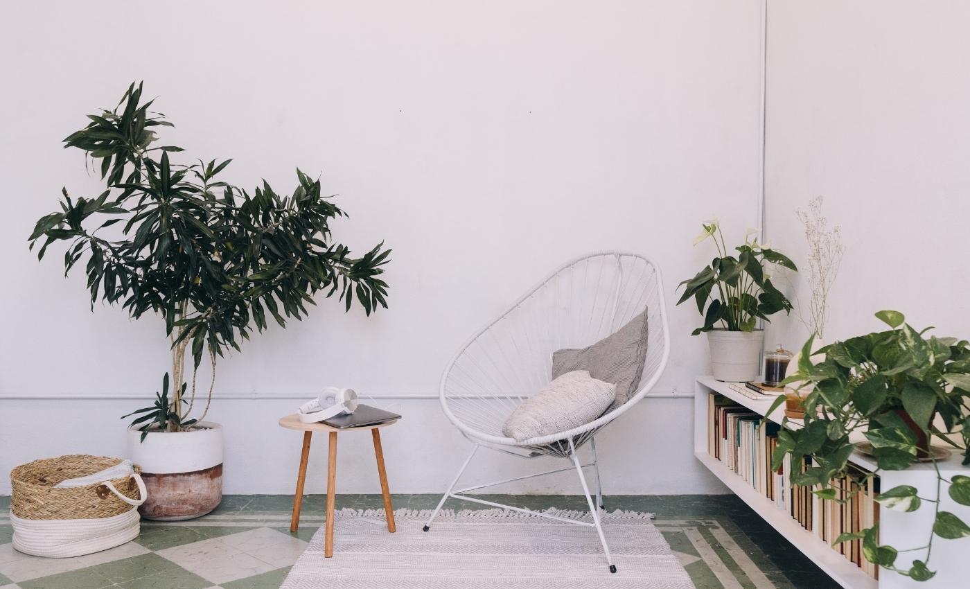 Utilize desk space for plants