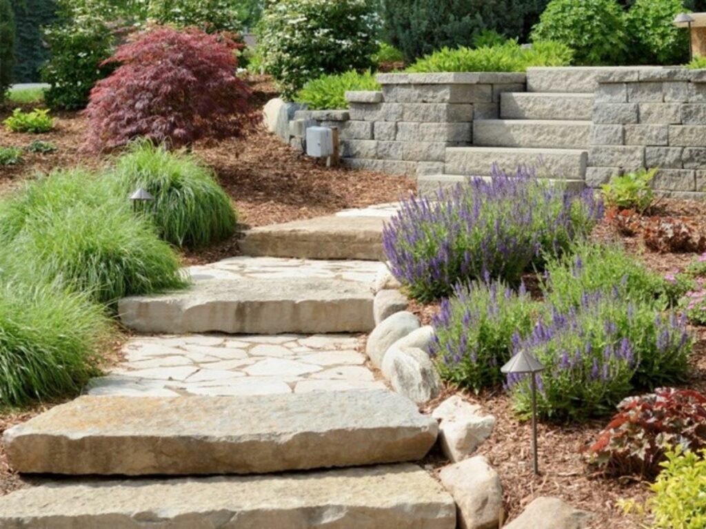 Add rock features (Source: Internet)