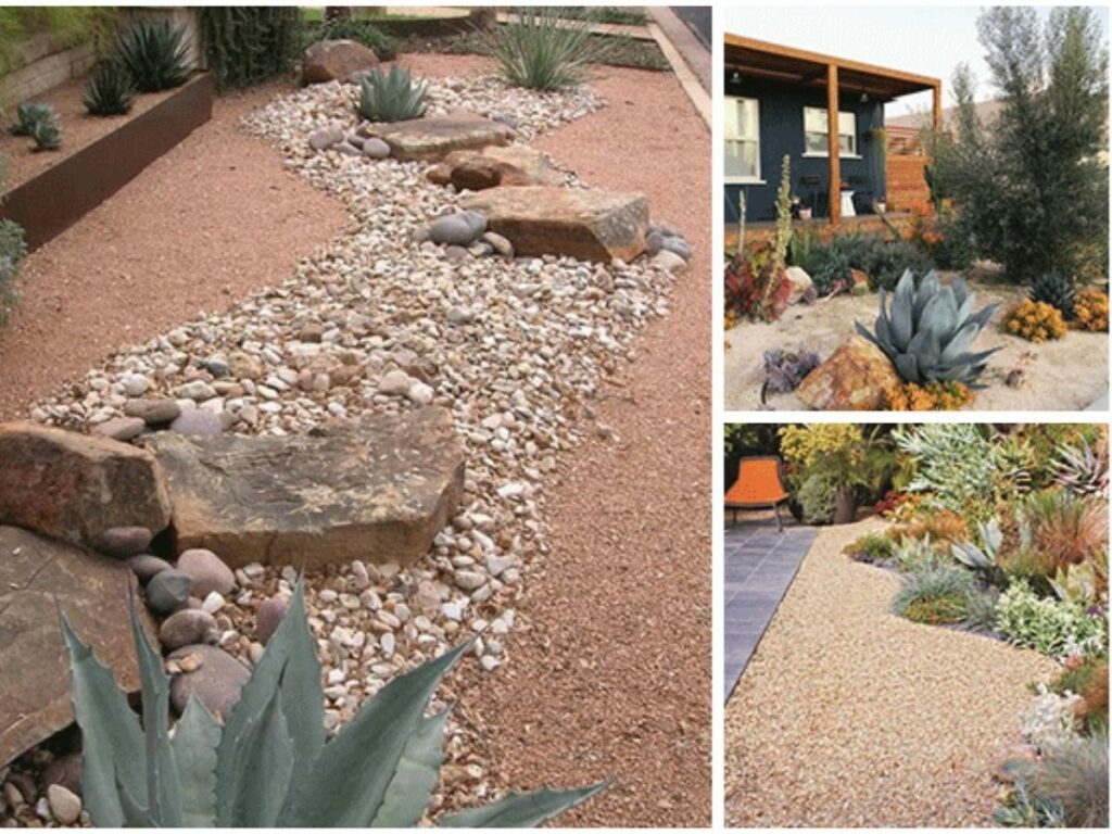Desert Front Yard (Source: Internet)