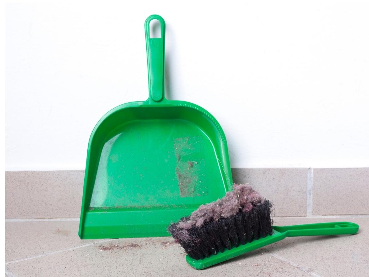 12 Easy Ways to Reduce Dust in Your House 2022 Sparkling and Beyond