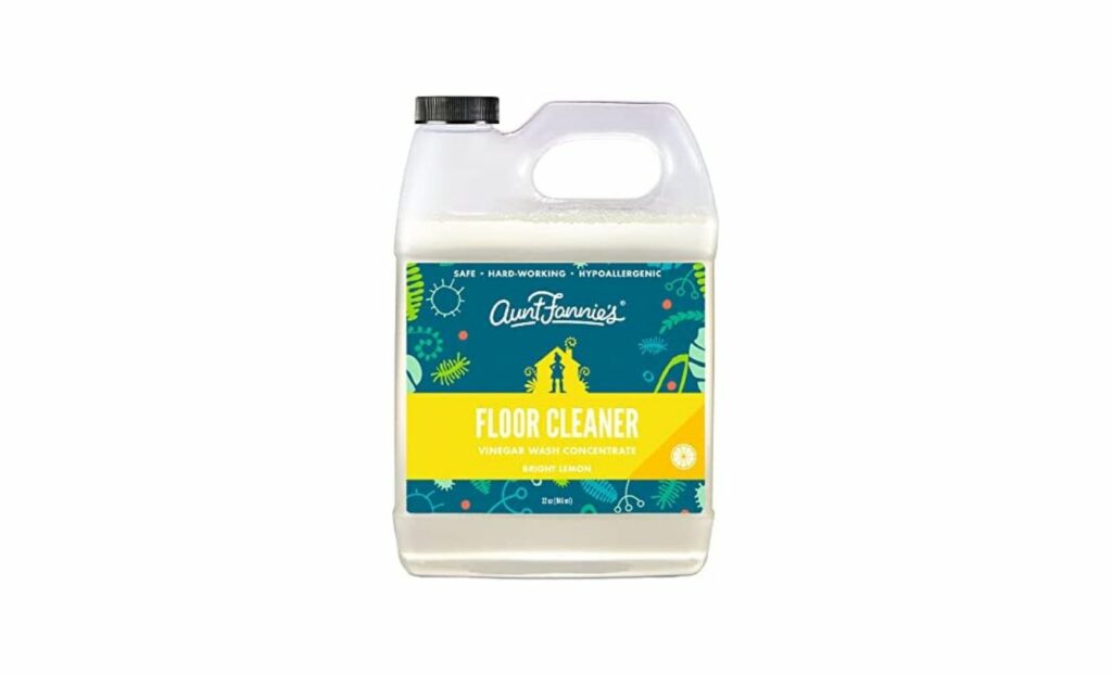 Eco friendly cleaning product floor cleaner aunt fannie (Source: Internet)