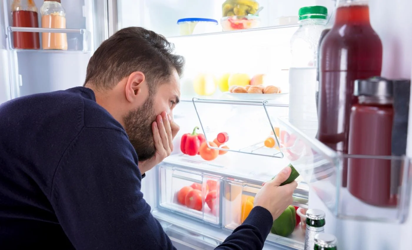 Fridge smells, cleaned it and still nothing. Thought it was drip tray but  don't see one. Help plz : r/Fridge