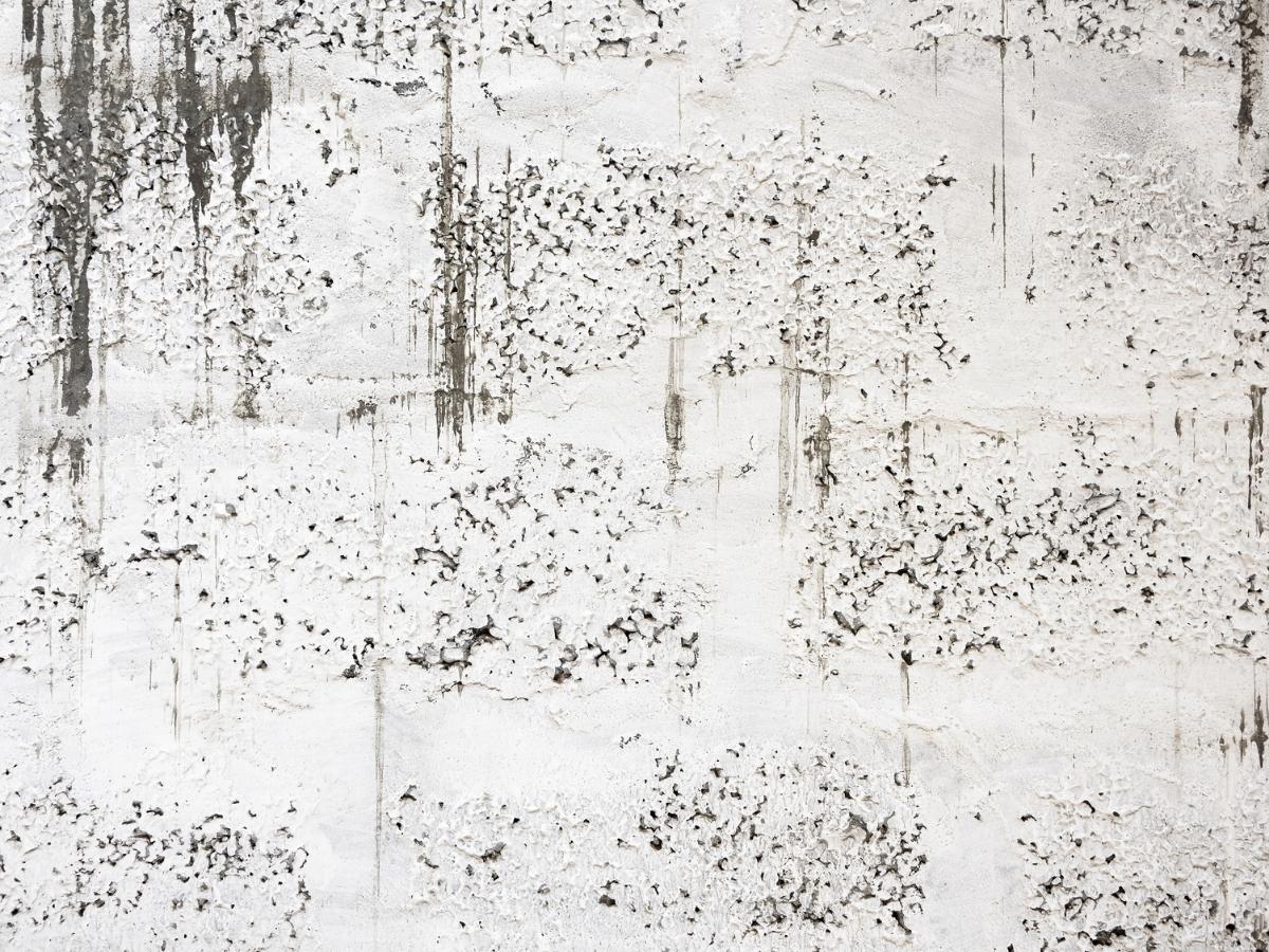 How to clean white walls with 6 easy steps Sparkling and Beyond