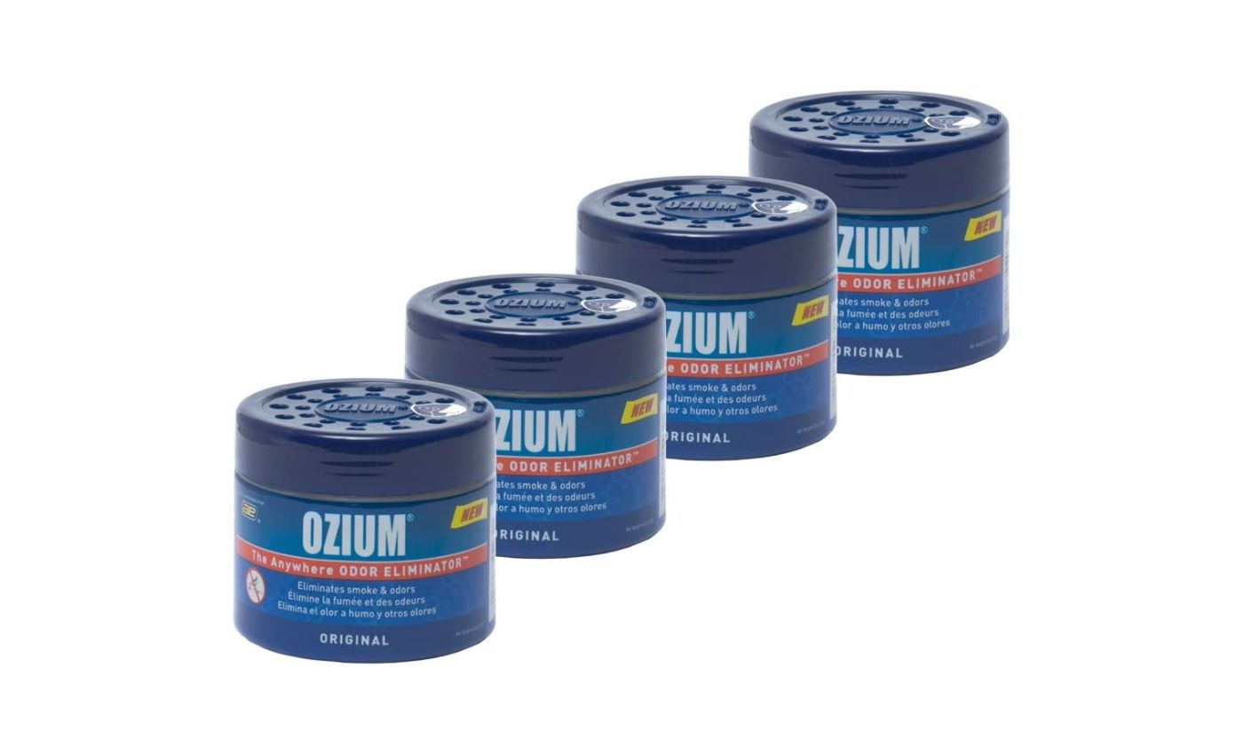 Top 12 Home Odor Eliminators 2023 Sparkling and Beyond