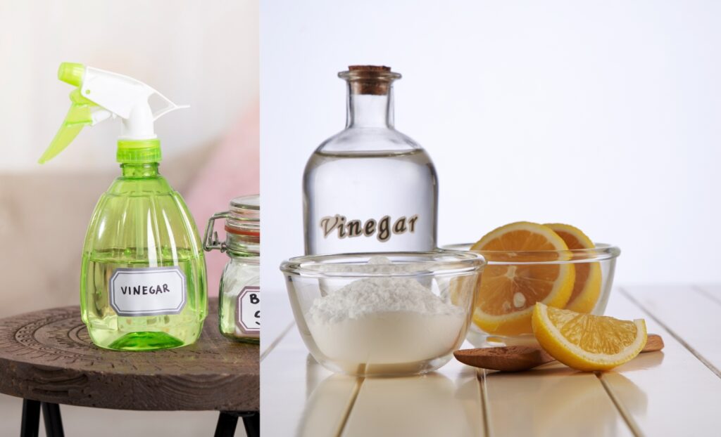 The differences between White vinegar and Cleaning vinegar