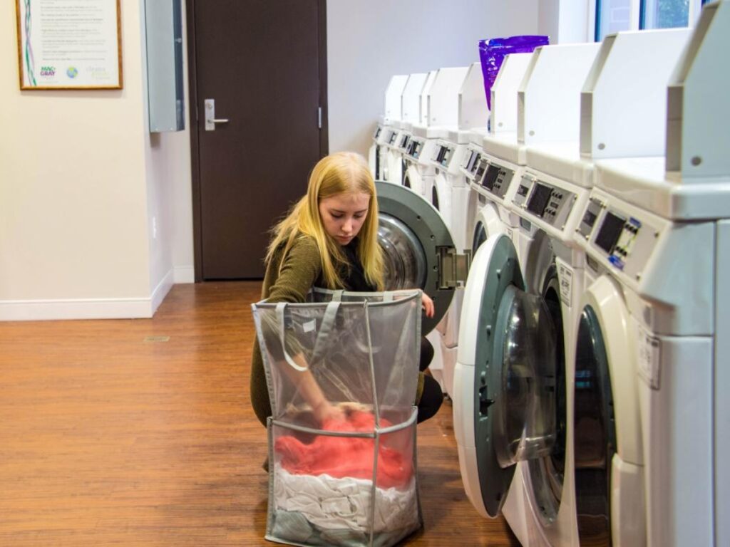 Laundry Services (Source: Internet)