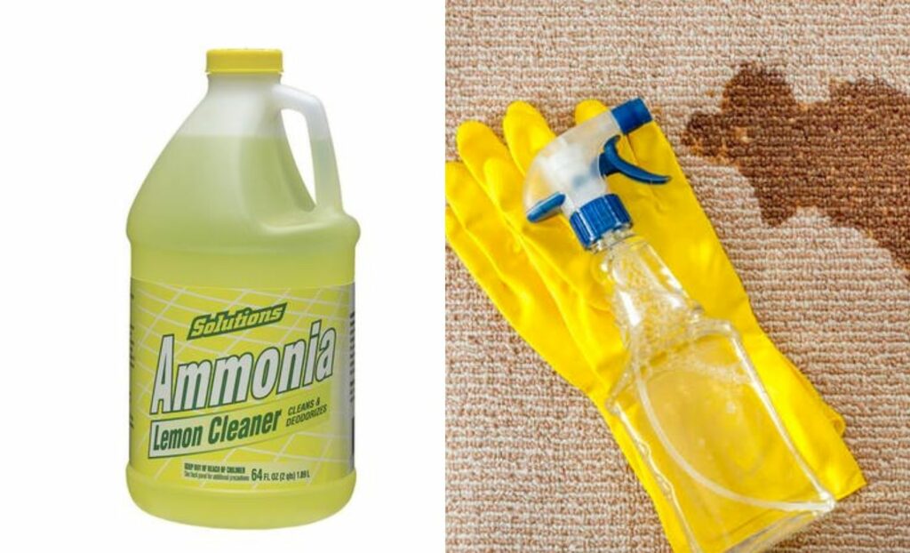 Ammonia Carpet Cleaner (Source: Internet)