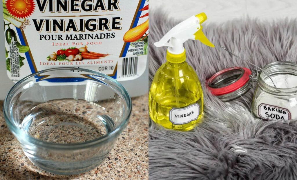 Vinegar Carpet Cleaner (Source: Internet)