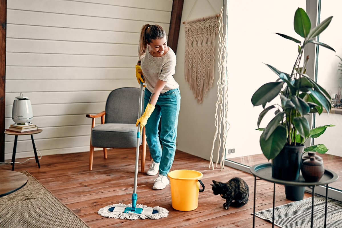 What is standard cleaning?