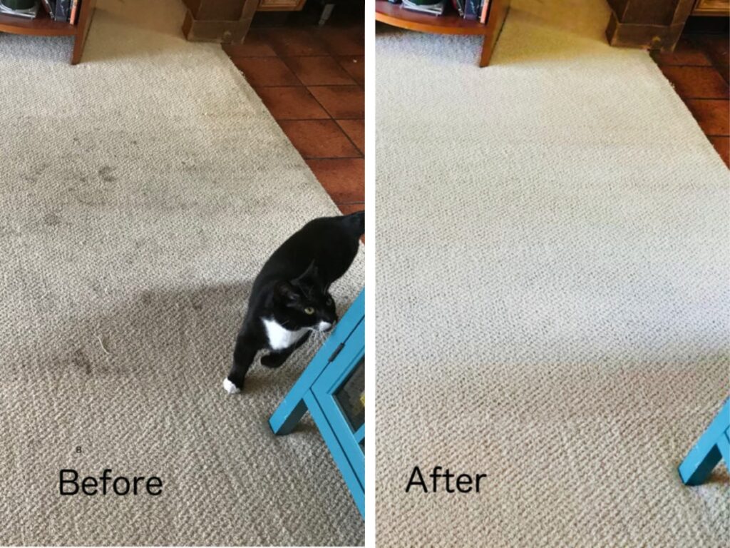 Carpet blot before and after cleaning (Source: Internet)