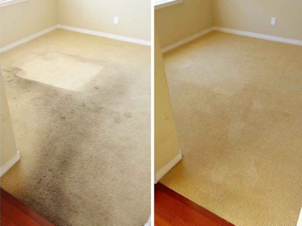Carpet before and after cleaning (Source: Internet)
