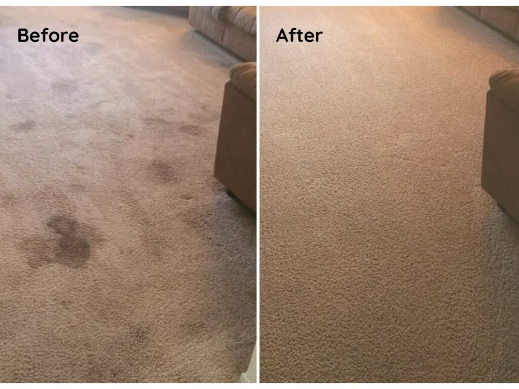 Carpet mark before and after cleaning (Source: Internet)