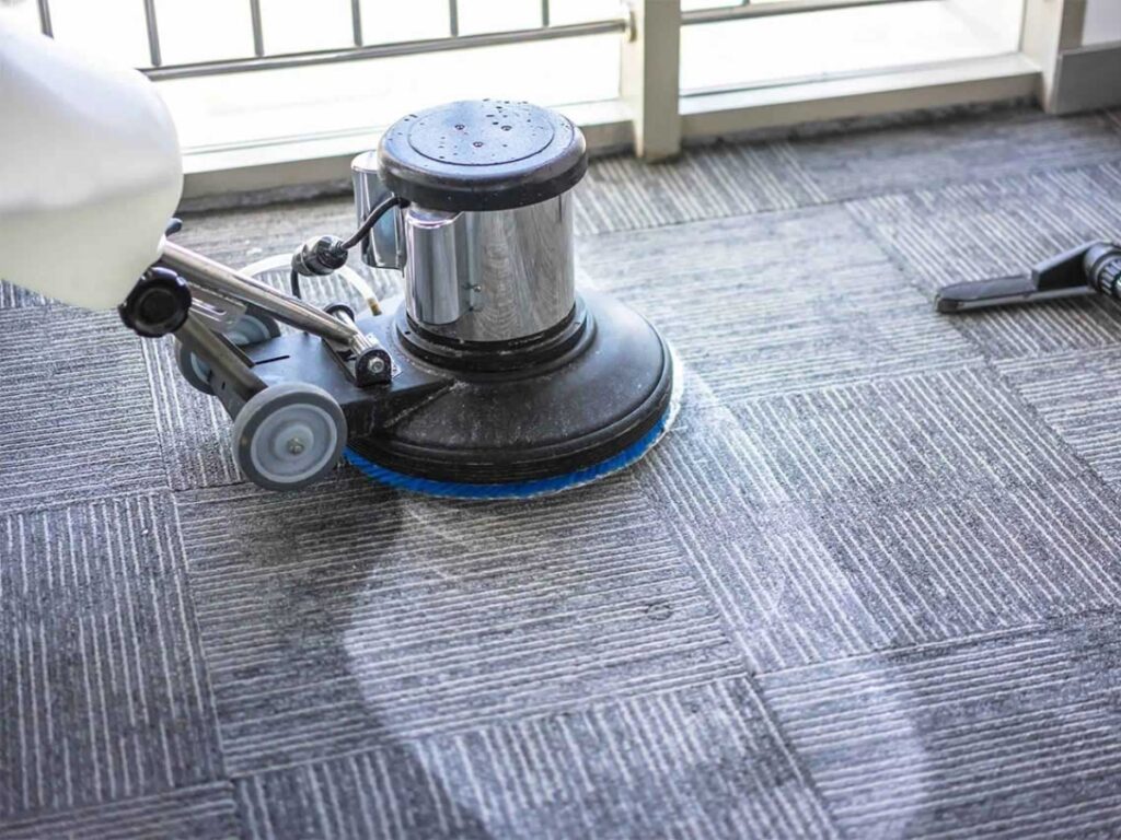 Professional carpet cleaning service (Source: Internet)