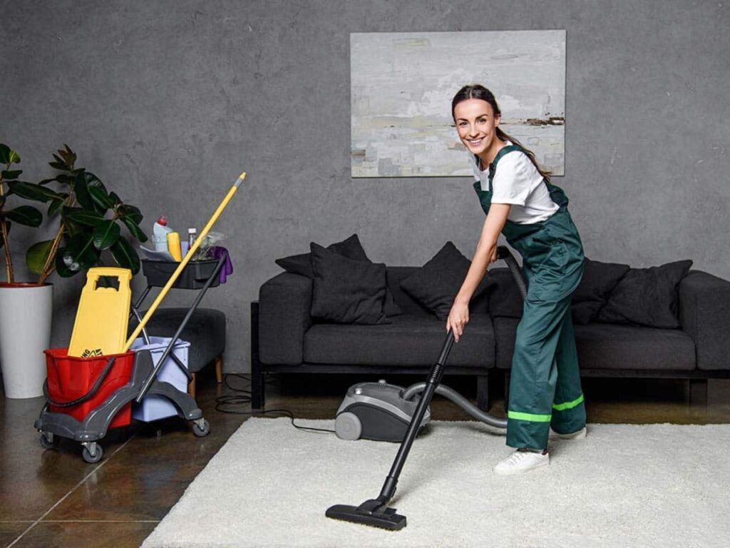 Professional carpet cleaning save your time (Source: Internet)