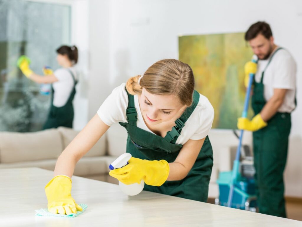 regular-house-cleaning